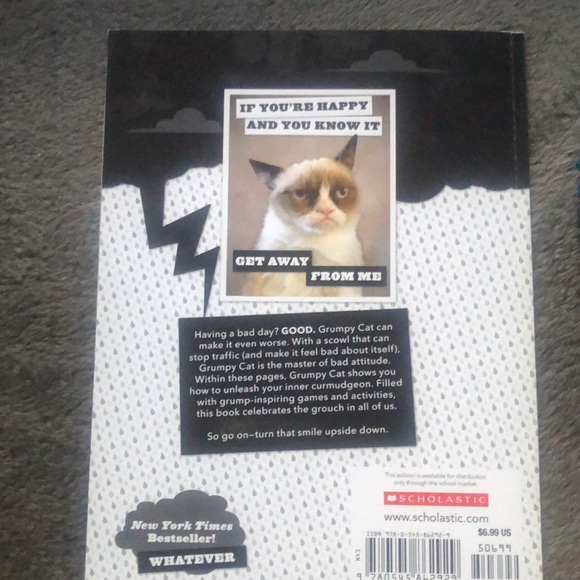 Grumpy cat book: a grumpy book mbr - Picture 2 of 8